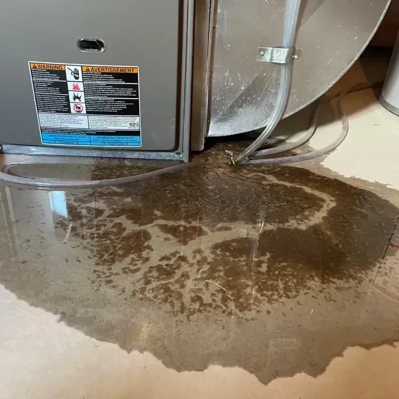 Appliance Leak Cleanup in Noel, MO